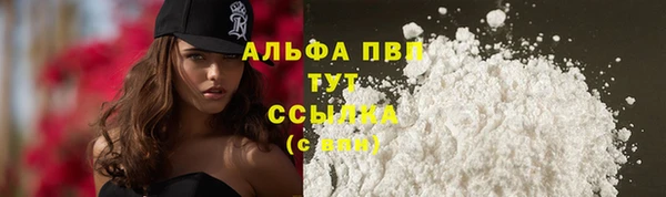 мет Пересвет