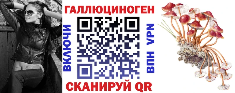 площадка как зайти  Любань  Галлюциногенные грибы Cubensis 